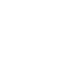 LinkedIn Logo